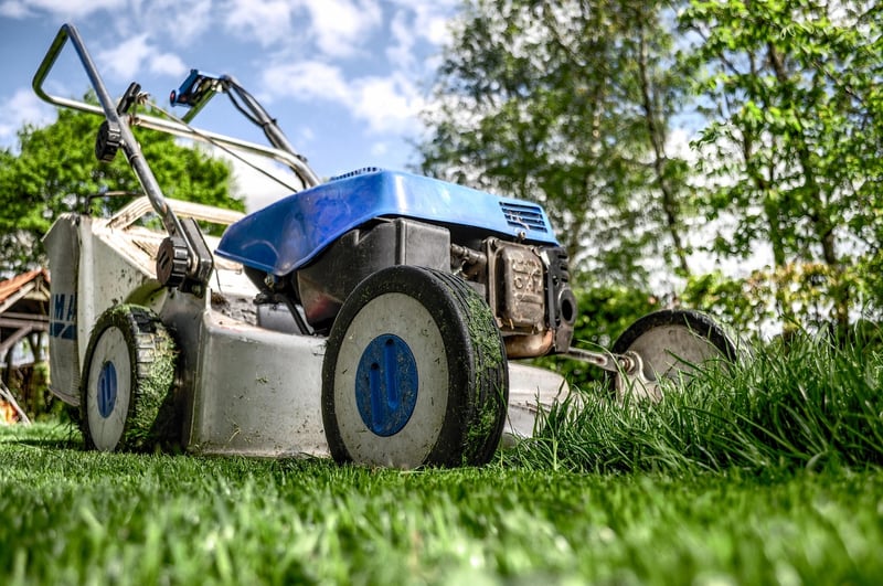 GreenScape Landscaping